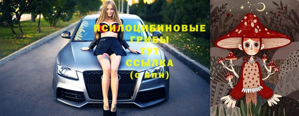 круглые Абаза