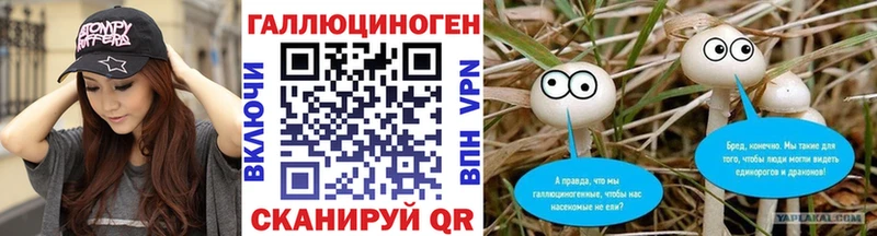 Псилоцибиновые грибы Psilocybine cubensis  Подпорожье 